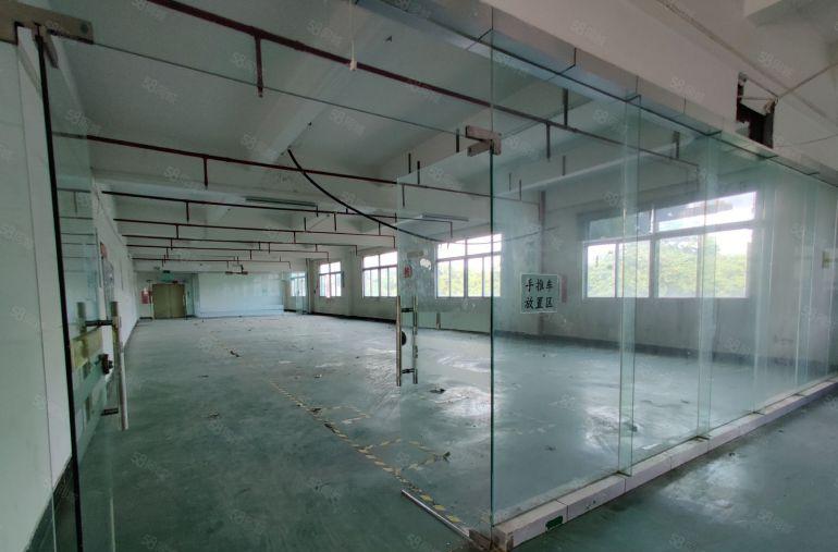 水朗工业区新出超大空地标准厂房一楼1000平方，实际面积出租