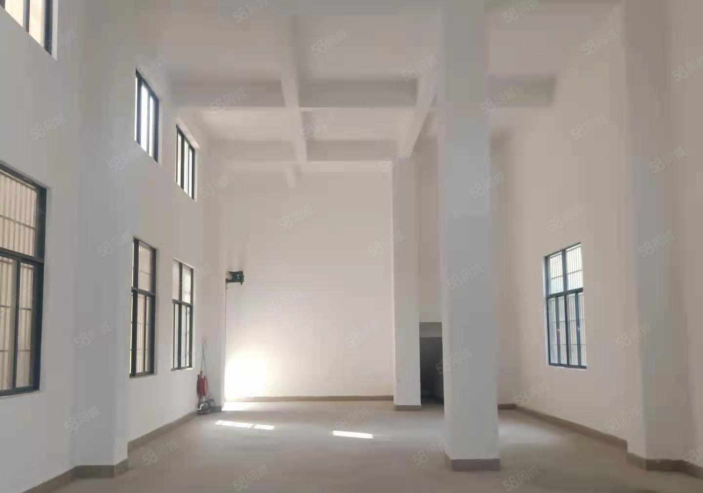 无公摊大岭山金桔原房东新建独栋标准厂房4层1000平厂房出租