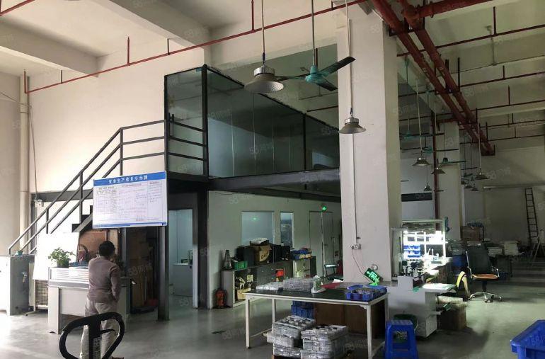 厂房出租大岭山杨屋高新工业园1楼800平厂房低价出租