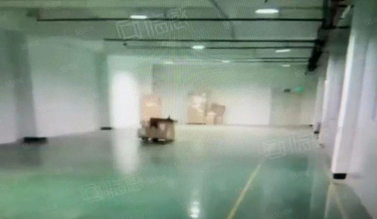 大岭山镇杨屋高速路旁厂房1500平，已刷地坪漆，可办环评