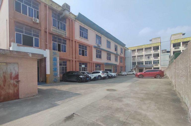 大岭山杨屋工业区新出独门独院标准一楼500平方厂房出租可分租