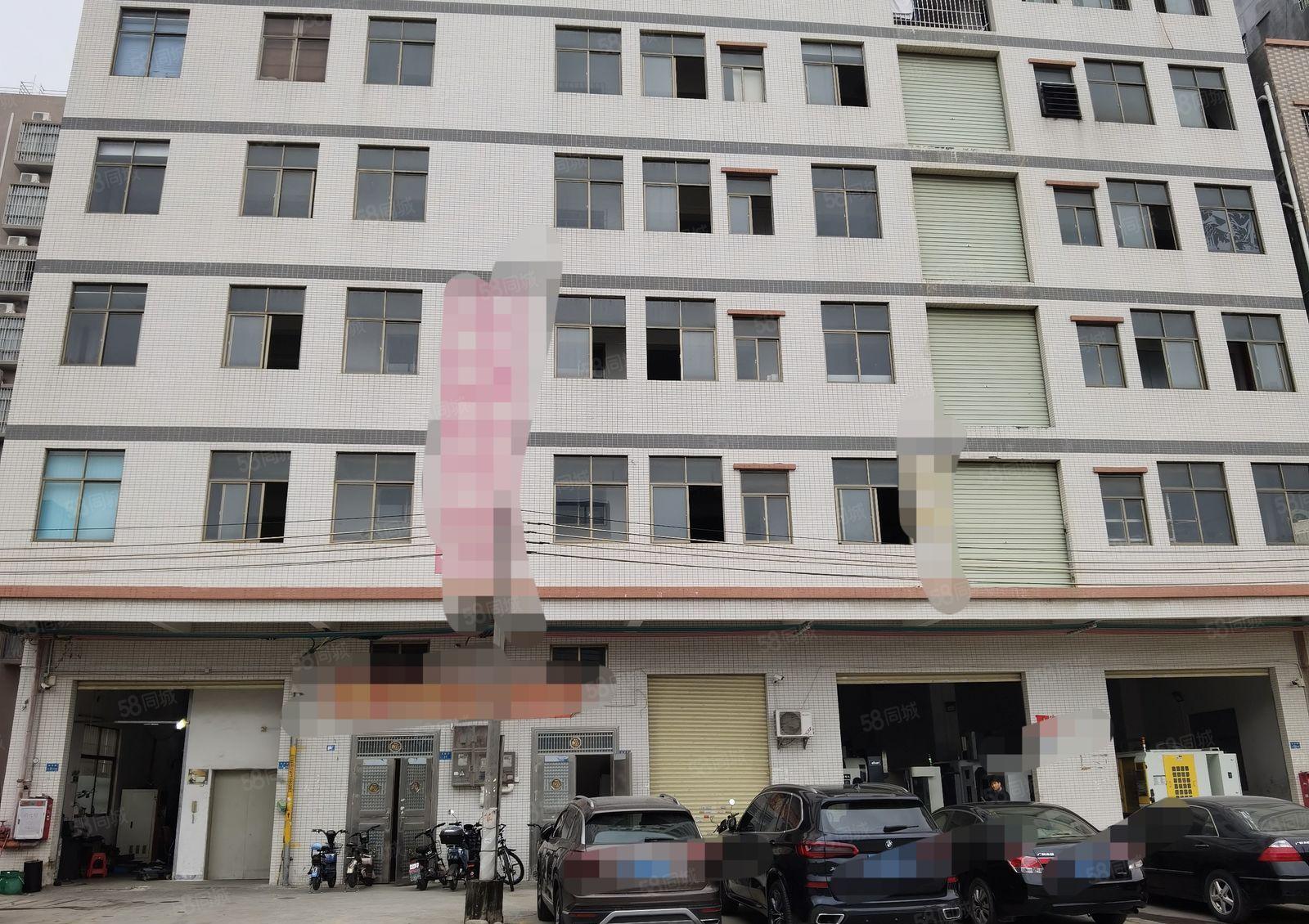 大岭山小面积无尘车间出租，豪华装修办公室，电梯3吨交通便利