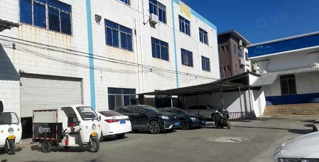 大岭山标准一楼600平方超大空地低价厂房出租价格实惠可办环评