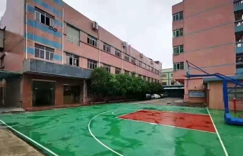 （可办环坪）大岭山大塘村原房东独门独院4000平厂房分租