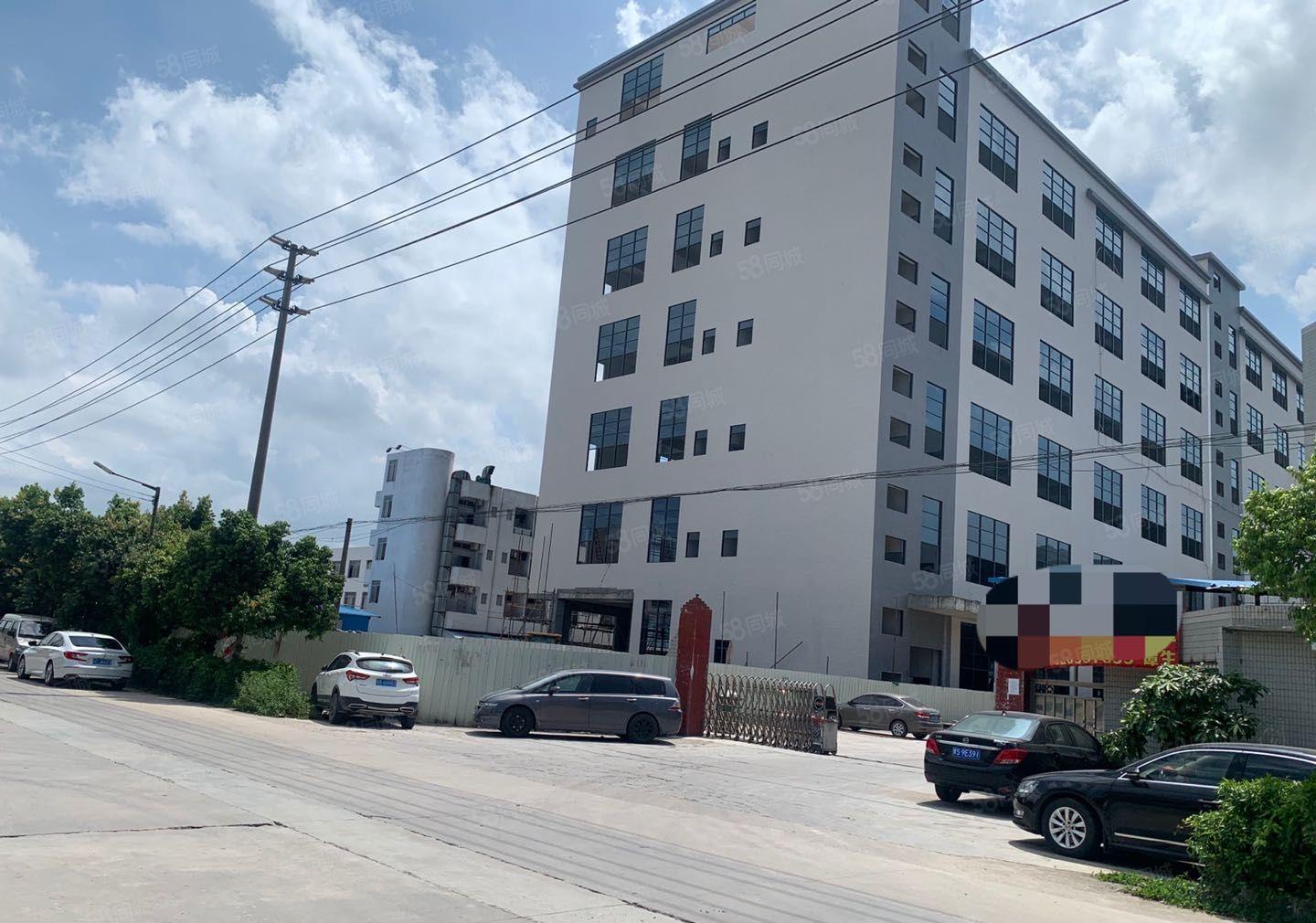 大岭山杨屋新空楼上整层720平方带豪华办公室厂房出租