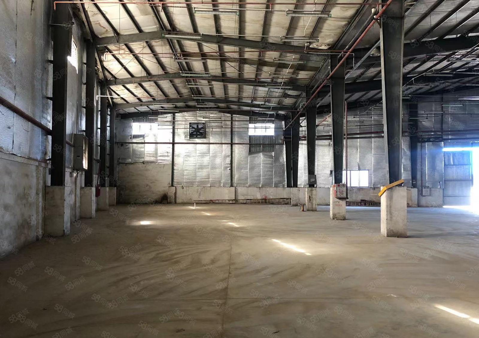 大岭山大塘2400平单一层钢构厂房出租，正规工业厂房出租