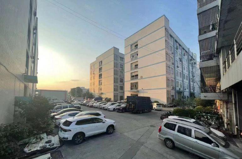 环境优美 大岭山大塘1260平 精装修带地漆坪