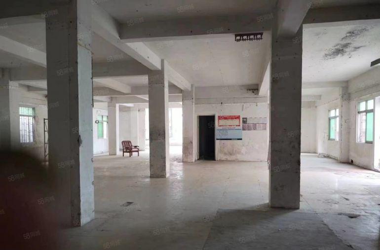 价格实惠 大岭山出租400平方有货梯采光好