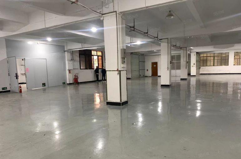 大岭山厂房一楼850平精装修水电齐全厂房出租仓库出租空地出租