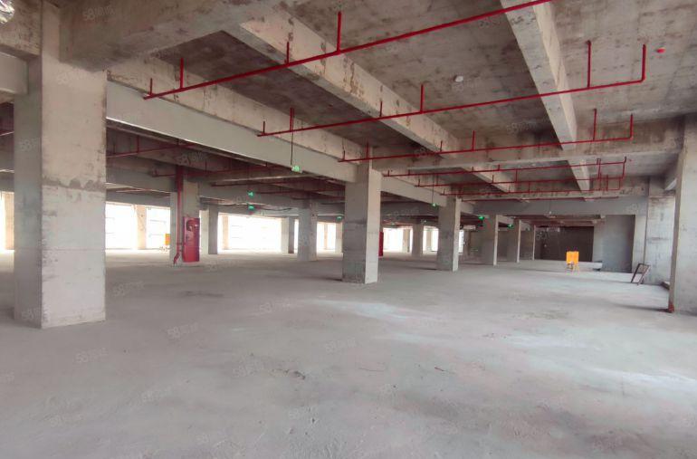 开发商直租松山湖红本高新园区全新厂房 园区配套齐全