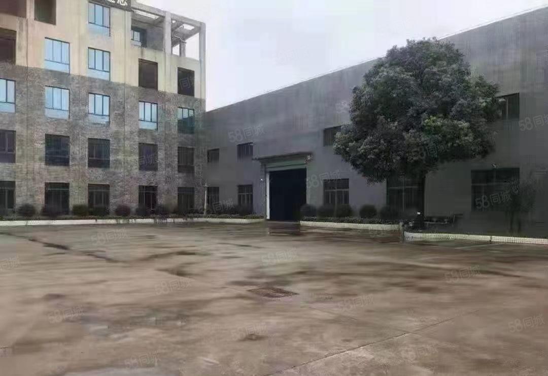 大岭山3000平米10米高钢构单一层低价出租，可分租可办环评