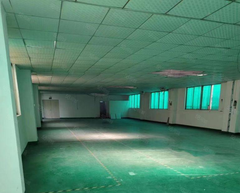 可省下装修费  大岭山出租厂房仓库780平  空地大靠近国道