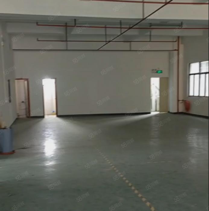 大岭山镇中心原房东独栋厂房出租分租楼上精装修小厂房低价仓库