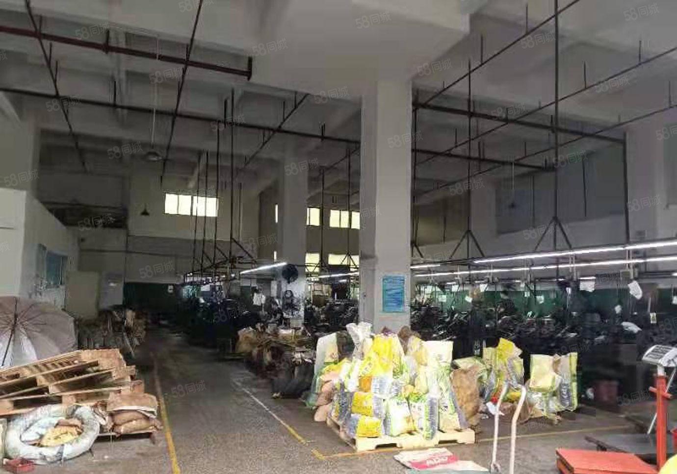 大岭山G107旁一楼1000平高6米厂房出租带办公室水电齐全