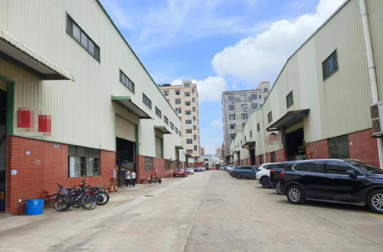 滴水9米  大岭山杨屋村工业园单一层1000平方厂房出租