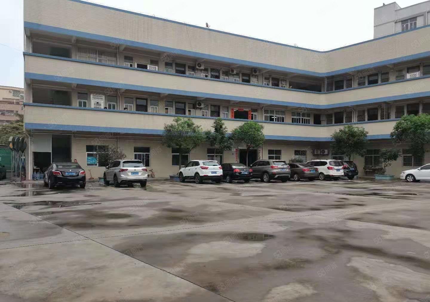 不限电可办环坪  大岭山新出独院原房东3层5000平厂房出租