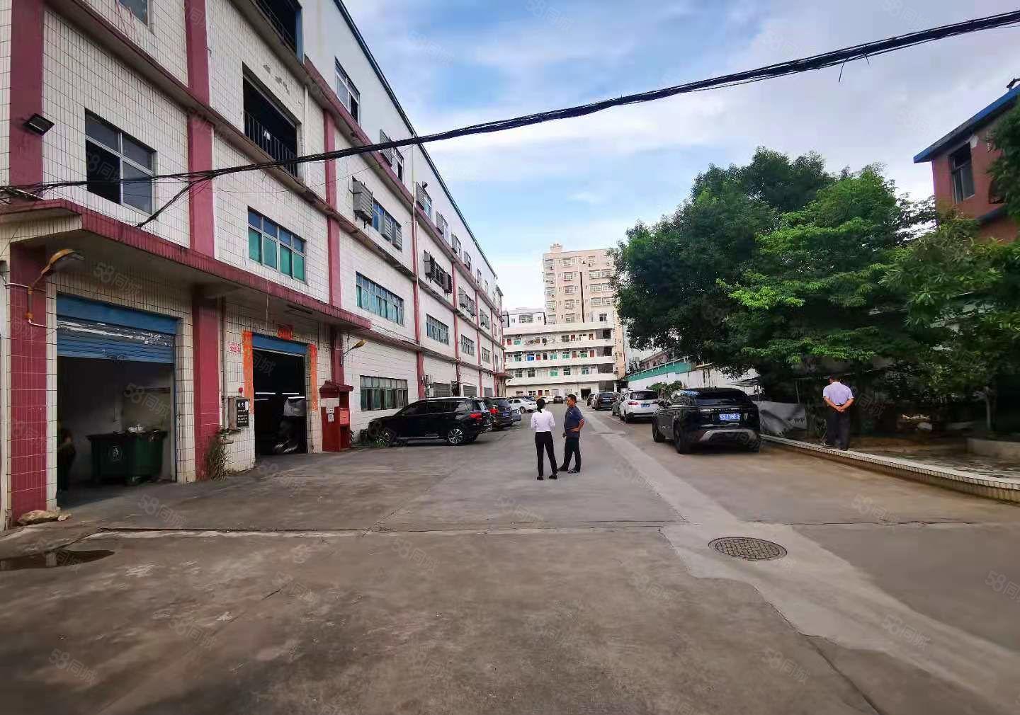 大岭山杨屋原房东一楼1300平厂房出租，水电自己交，合同期长