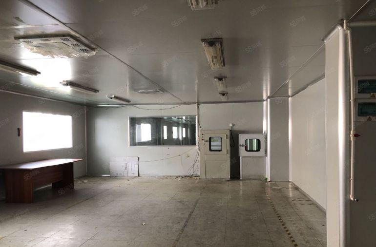 大岭山镇107国道边原房东无尘车间低价出租无转让费