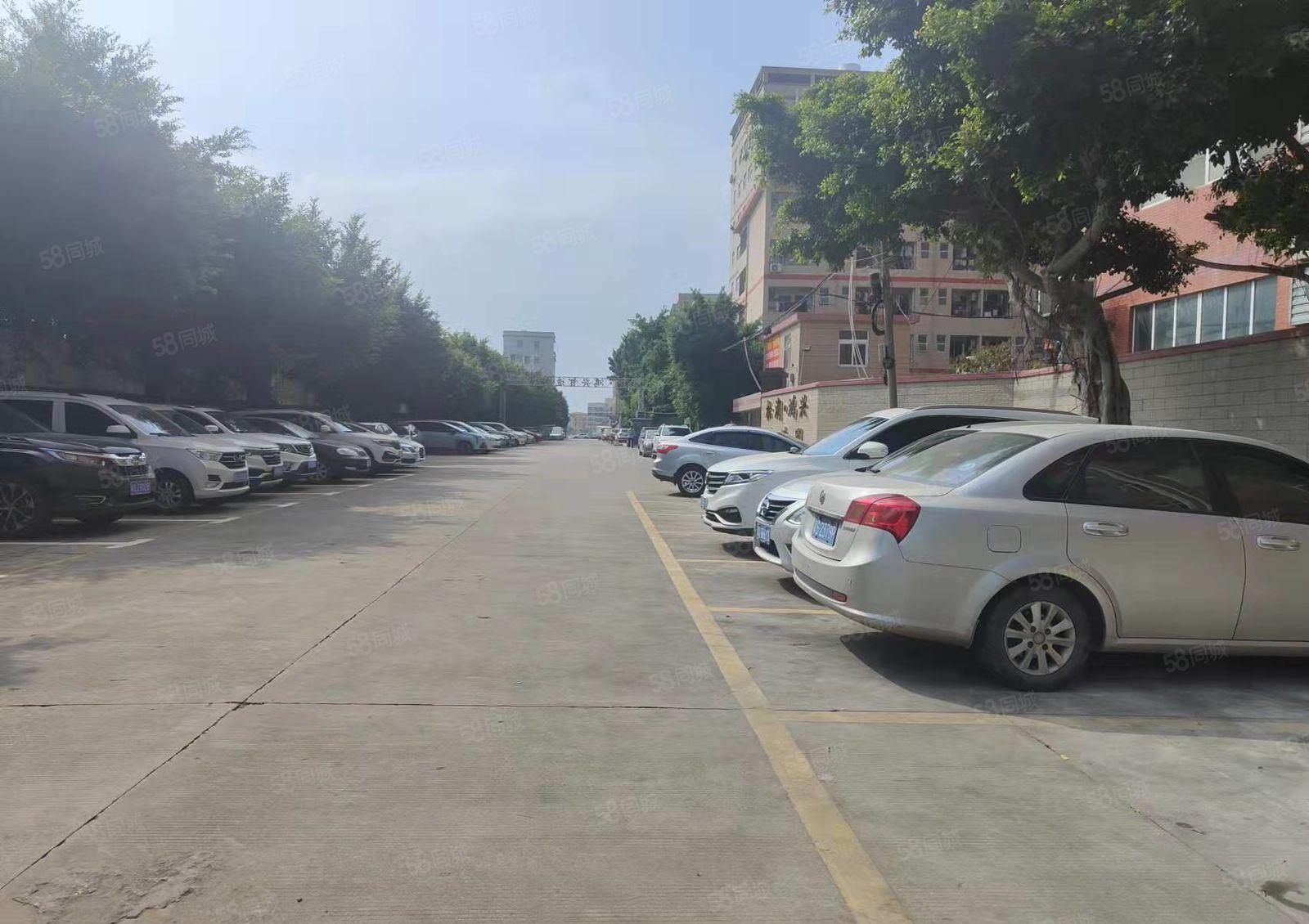 可办环评大岭山新出标准厂房一楼1000平精装修