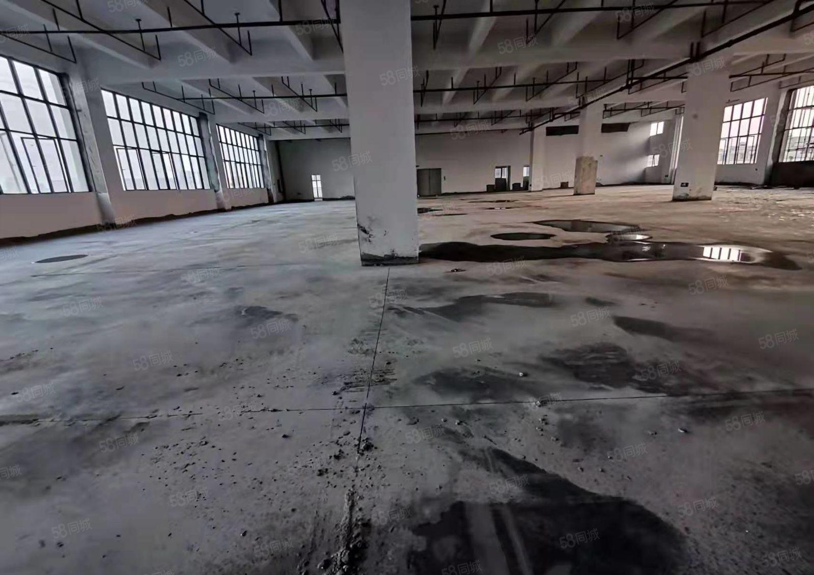 大岭山新塘石大路，全新厂房出租，红本厂房，可办环评，可分租