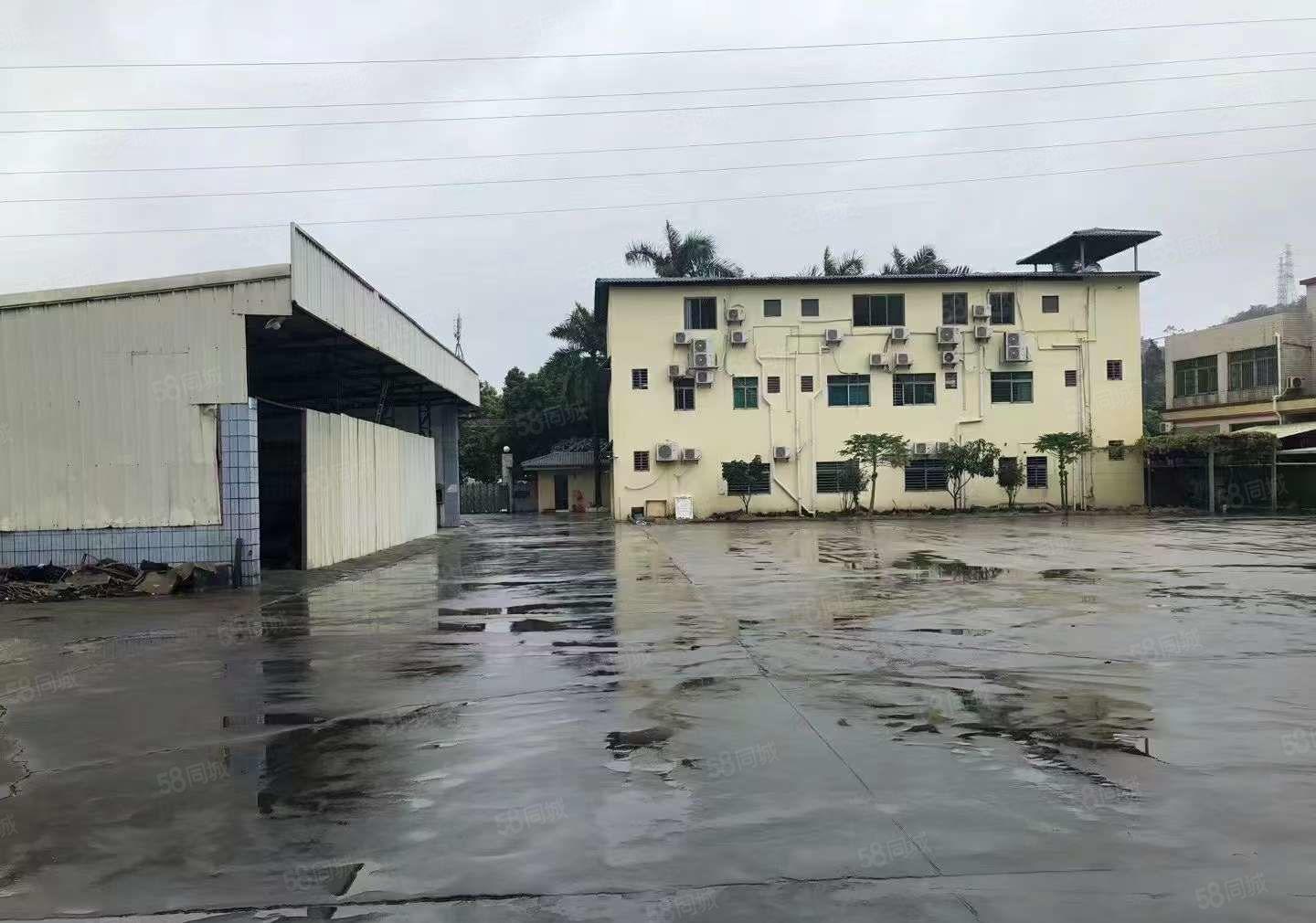 大岭山临深区域原房东独门独院，超大空地3000平