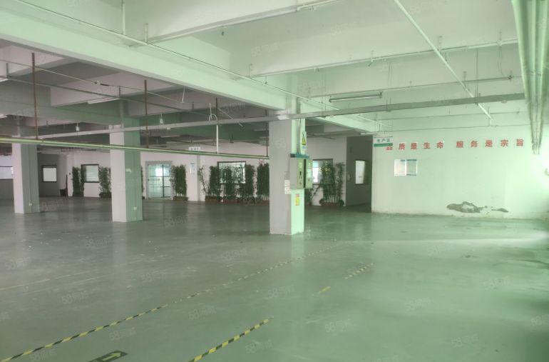 限时特价10元！大岭山楼上1500平精装厂房出租仓库出租