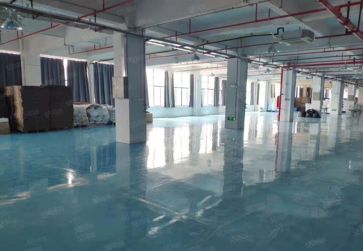 原房东直租 杨屋村新空出现成精装修厂房分租 可办环坪拎包入驻