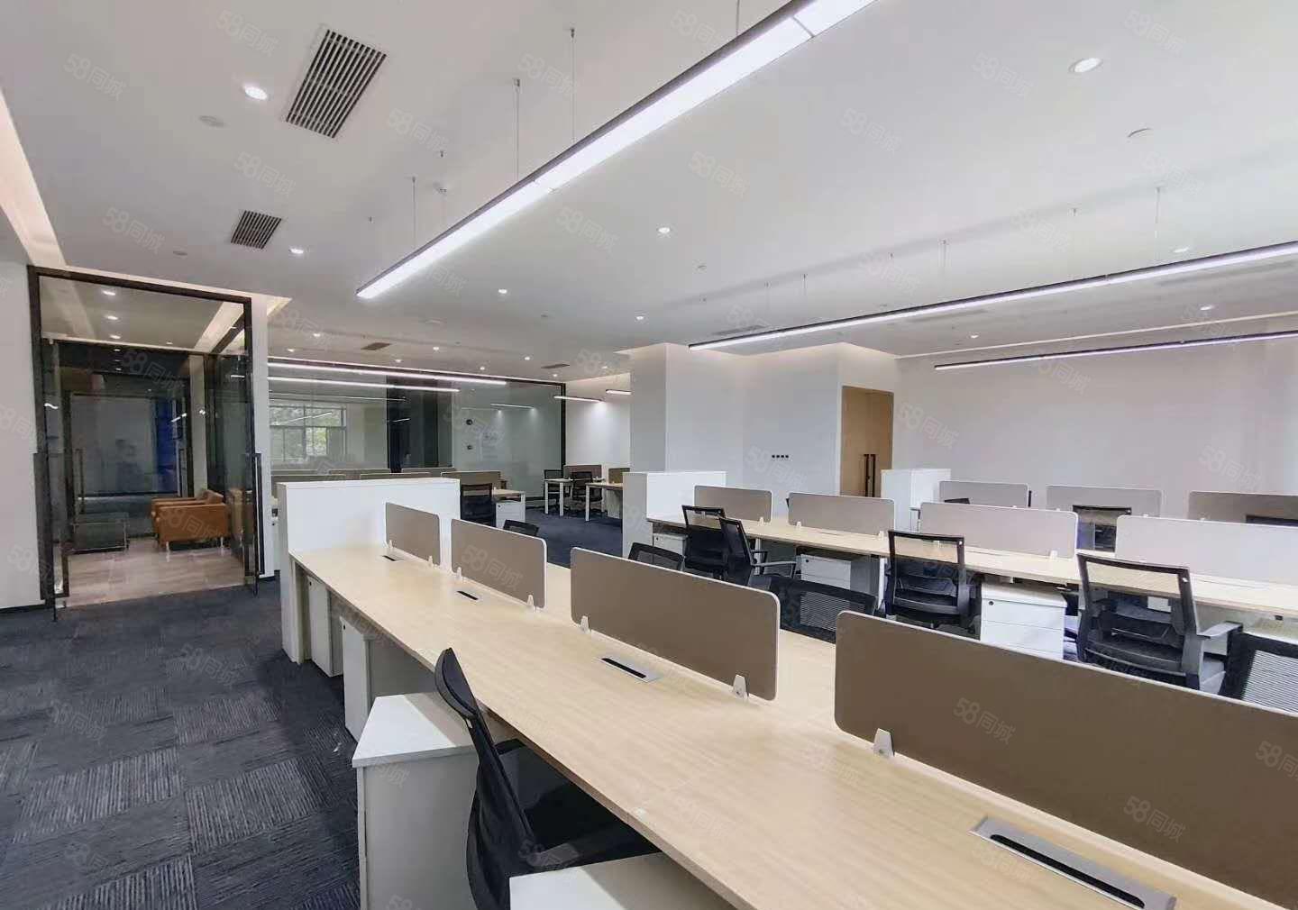 赠！免租期 大岭山标准厂房 政府高薪补贴 临高速出口 带红本