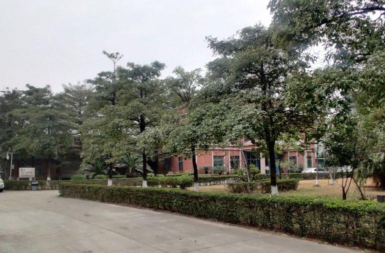 大岭山杨屋原房东厂房低价出租单一层每栋2000平