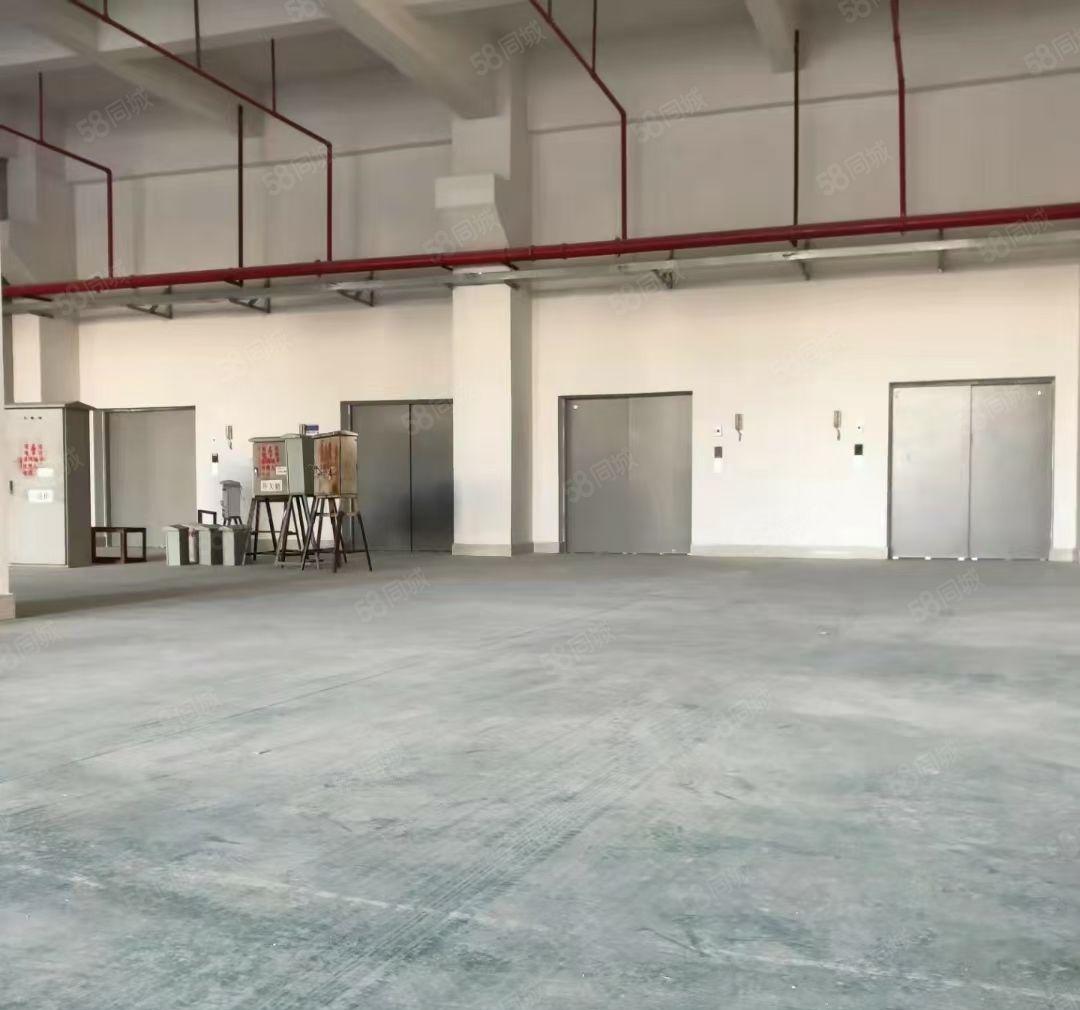 大岭山镇新出二楼厂房，层高6米承重1.5吨工业用地可以办环评