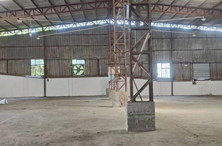 大岭山原房东独院单一层滴水7.5米厂房出租 水电齐全 无公摊