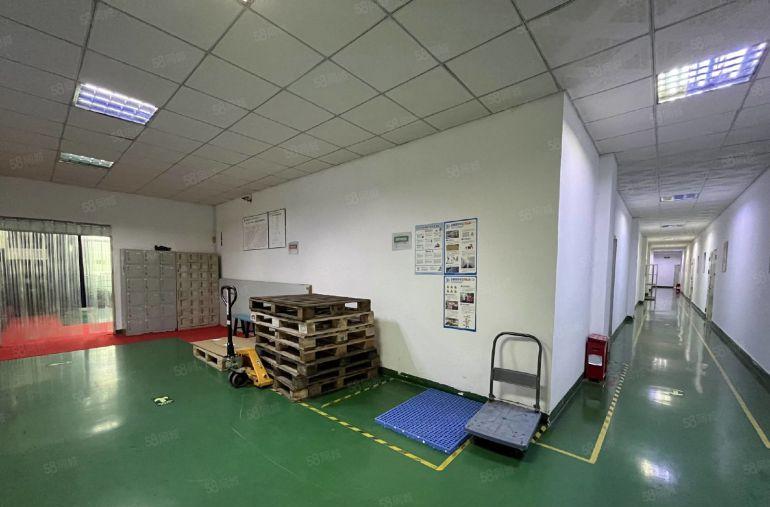 大岭山向东原房东红本可分低价精装修厂房仓库无尘车间一楼上出租