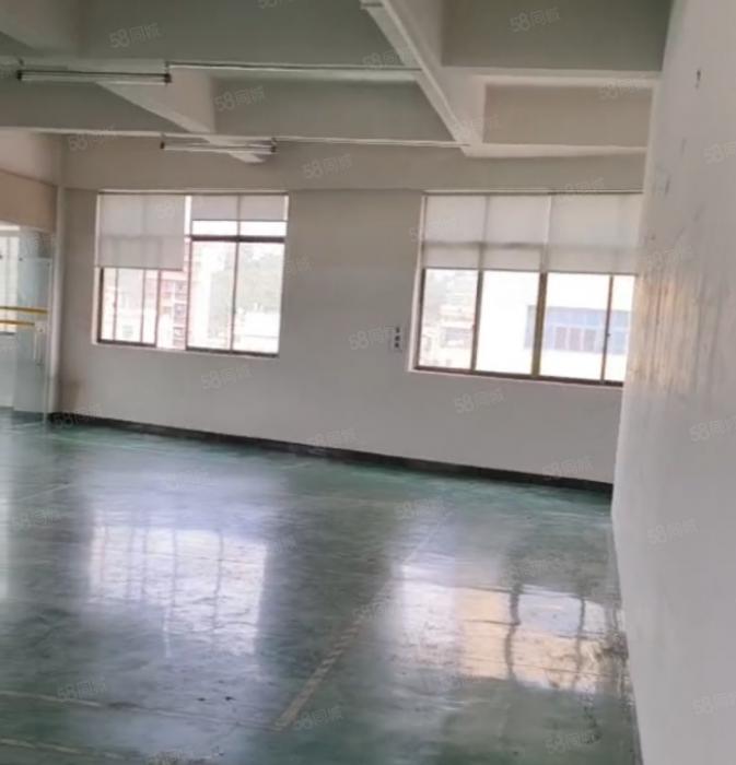 大岭山厚大路旁 独栋厂房出租 精装修 办公室 超低价
