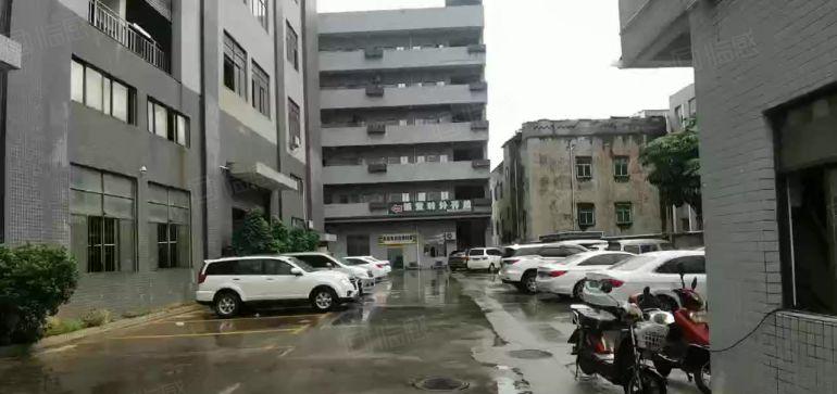 大岭山G107旁一楼1000平高6米厂房出租带办公室水电齐全