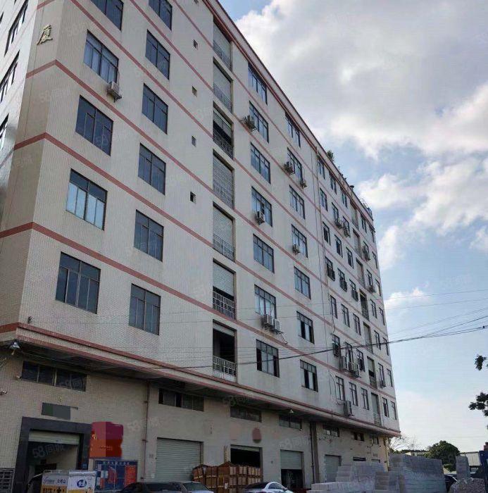 大岭山原房东厂房出租 现成精装修 超低价 可分租