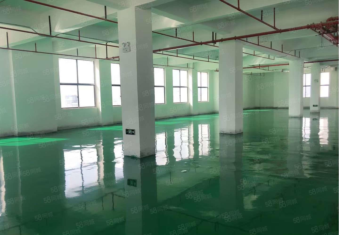 大岭山镇空出原房东独门独院3层3000平厂房出租无公摊带环坪