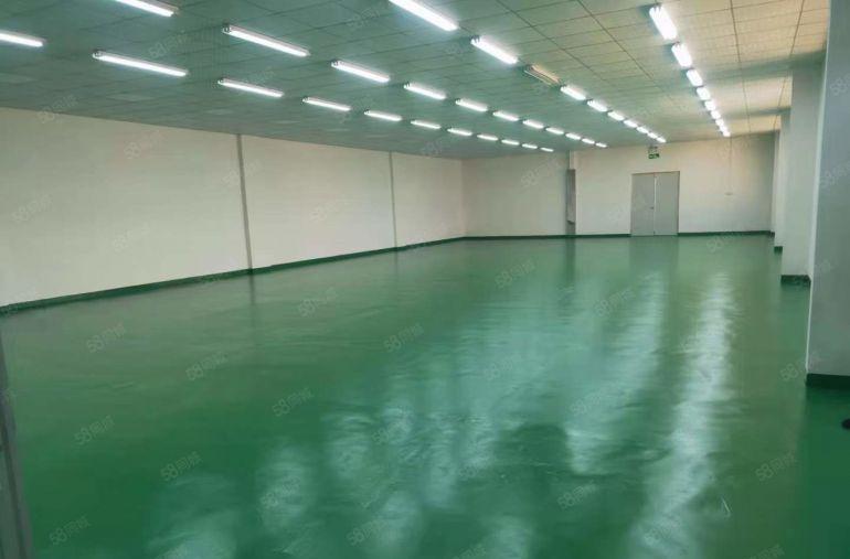 大岭山杨屋高速口靠深圳长安 小面积厂房出租 带精装修超低价