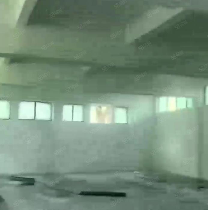 大岭山颜屋小面积单一层标准厂房出租 超低价 高6米 精装修