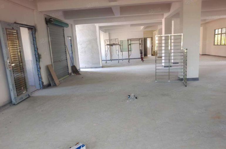 大岭山金桔原房东独栋厂房出租全新小厂房仓库出租水电费自己交