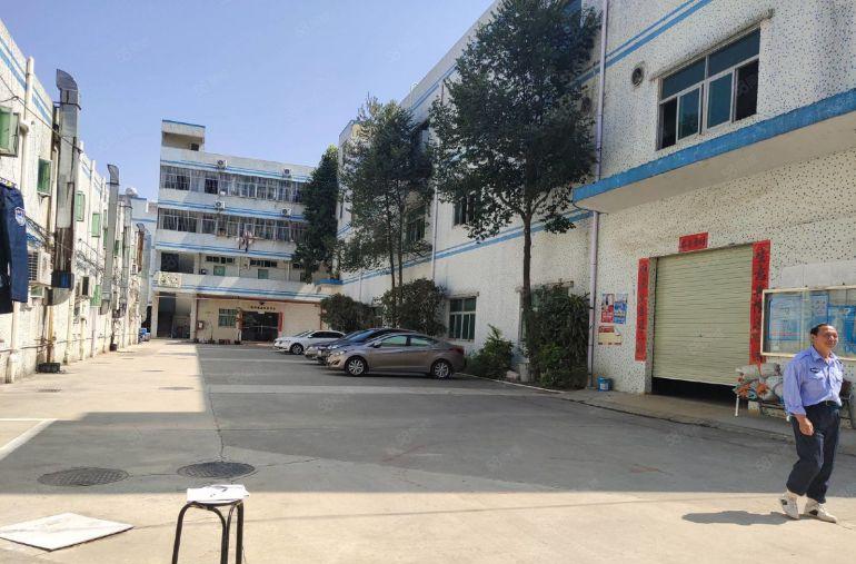 大岭山工业区新出标准1楼500平方厂房低价出租可办环评空地大