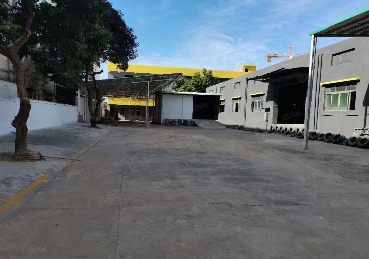 大岭山新出单一层独院厂房已全面翻新，自带卸货平台