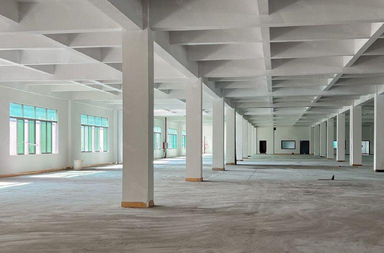 大岭山镇大塘新厂房出租