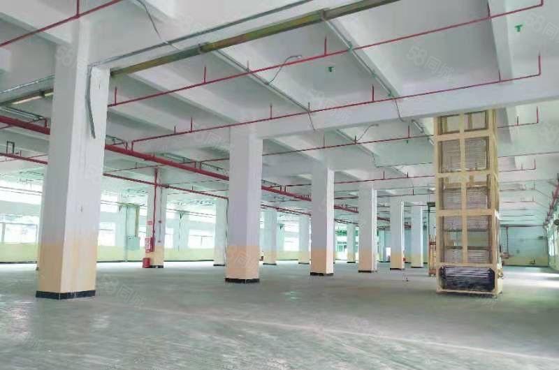 大岭山 杨屋临深大型工业园厂房5000平起分上市公司形象标准