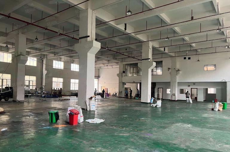 大岭山杨屋原房东标准1楼1680平高度8米带牛角位现成办公室