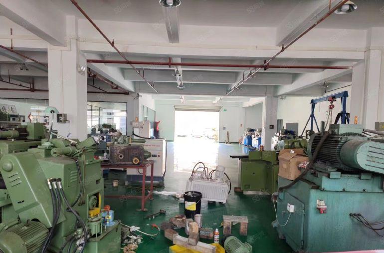 高大上一楼厂房 大岭山出租1000平厂房内有办公室配套齐全