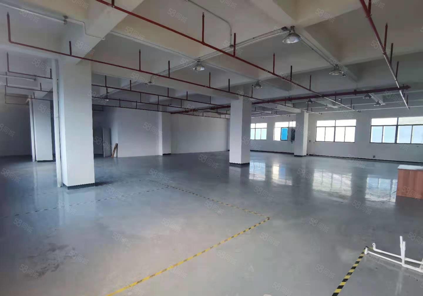 大岭山颜屋G107旁全新重工业厂房出租，7楼650平超大露台