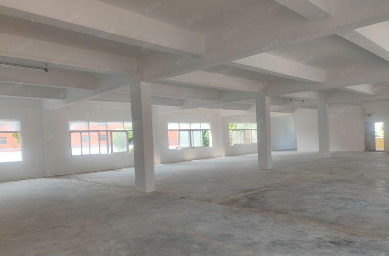 大岭山镇石大路边两层独栋独院标准厂房，超大空地，水电齐全