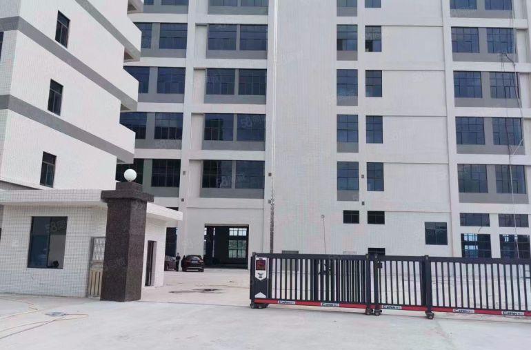 300平起租 临深高速出口靠长安低价园区厂房出租 带精装修