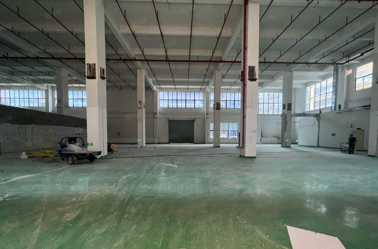 大岭山镇12米高标准1楼1500平园区空地大，上市公司的形象