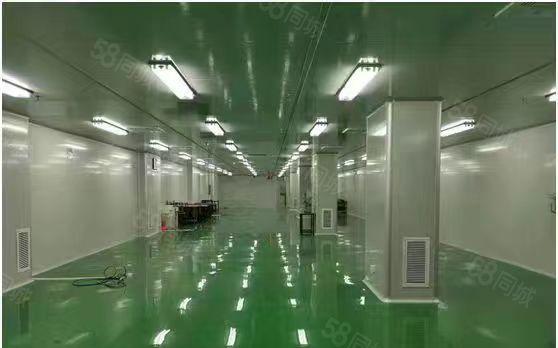 大岭山镇大型工业园精装修无尘车间低价厂房出租